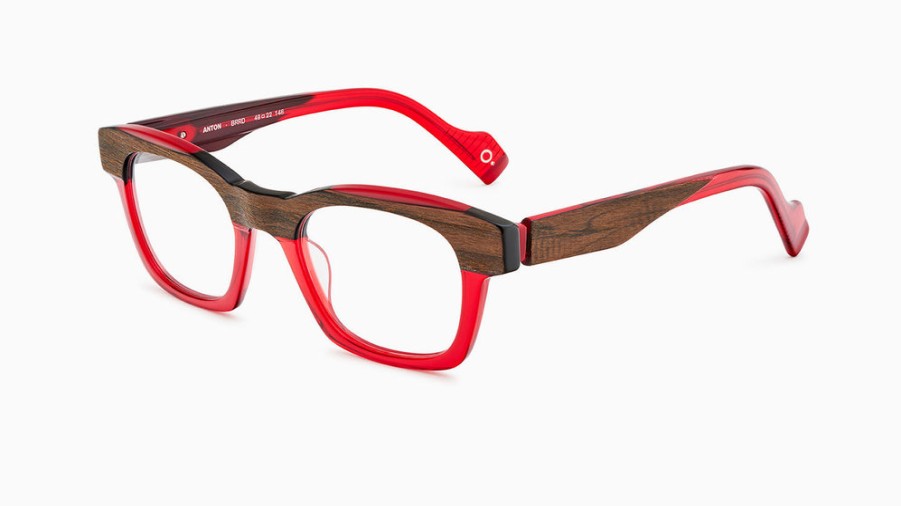 Eyeglasses Etnia Barcelona | Etnia Barcelona 'Anton' In Red/Brrd