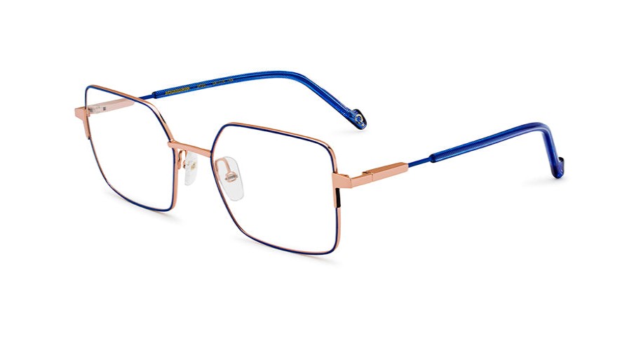 Eyeglasses Etnia Barcelona | Etnia Barcelona 'Aquamarine' In Blue/Rosegold/Pgbl